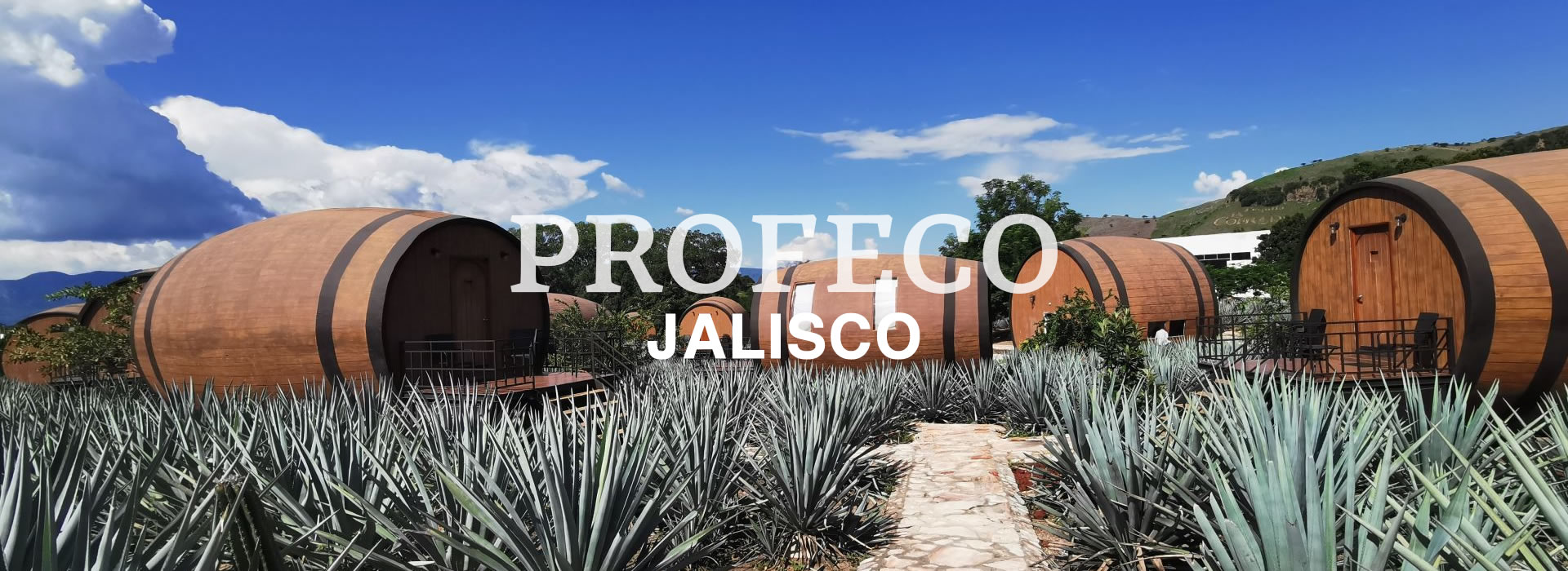 Queja PROFECO Jalisco