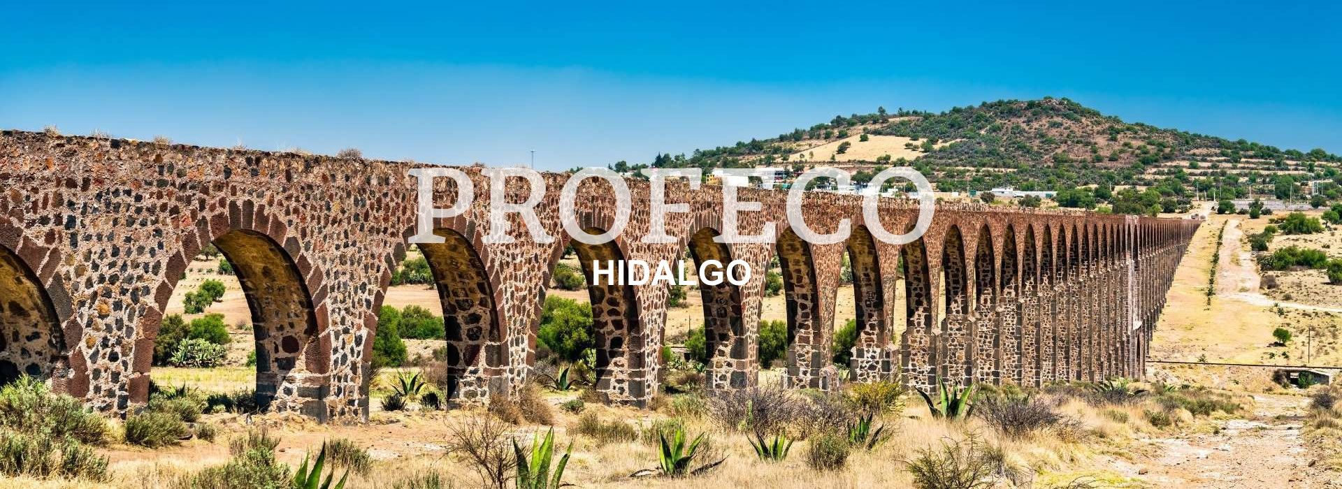 PROFECO Hidalgo