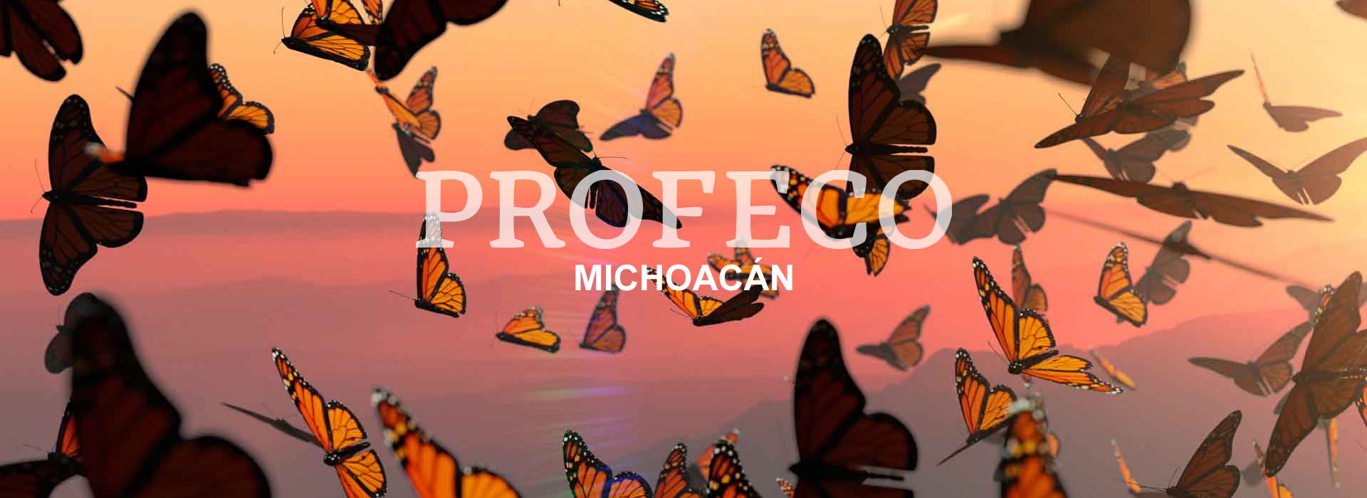 PROFECO Michoacán