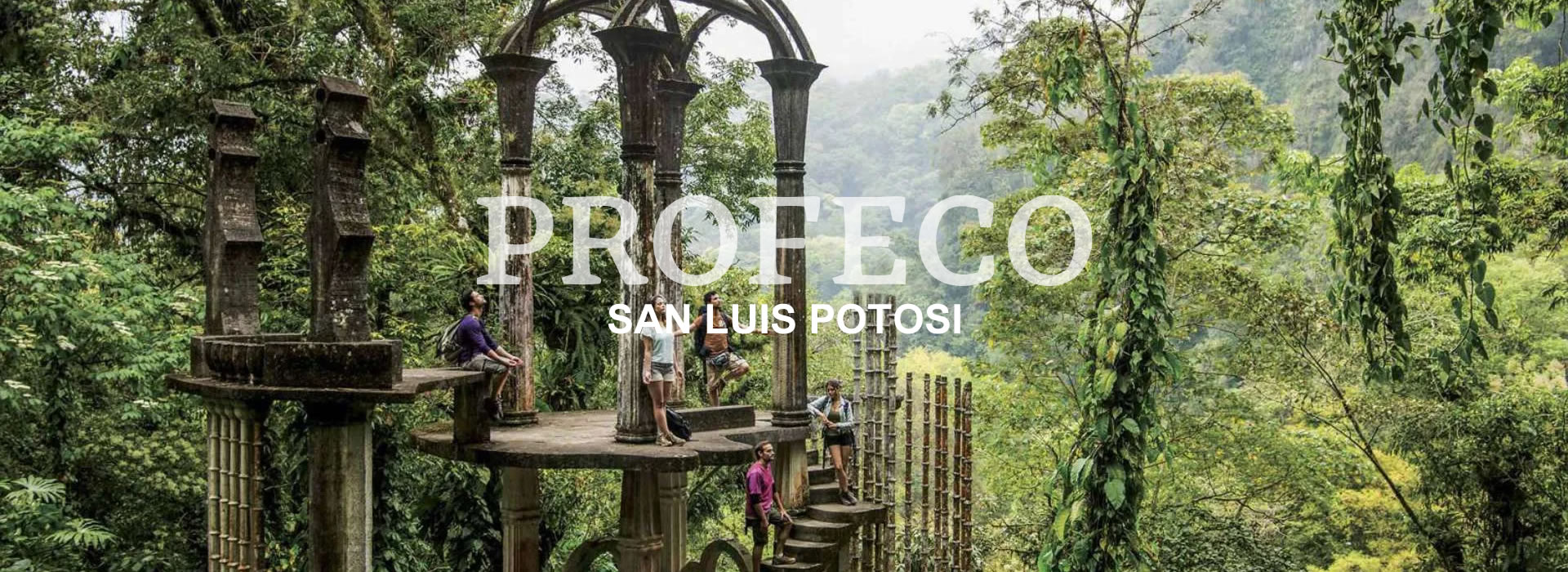 PROFECO San Luis Potosí